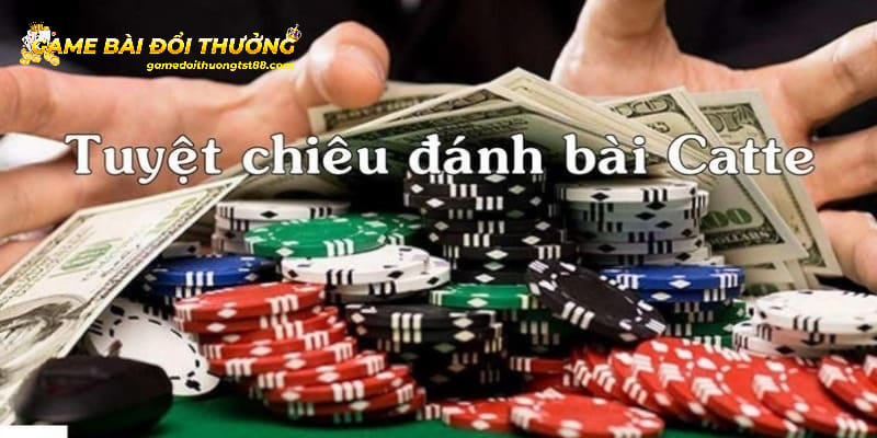 Bài Catte Mấy Lá - Lý Giải Thông Tin Quan Trọng Cho Tân Binh